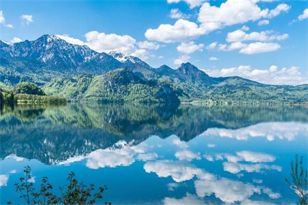 爆文800万学区房带给文案的思考