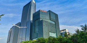 主副品牌战略的举例和分析