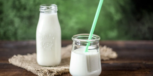 君乐宝食品品牌创新战略