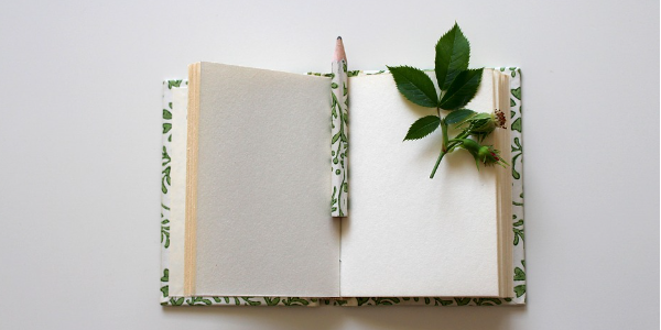 新东方教育品牌战略