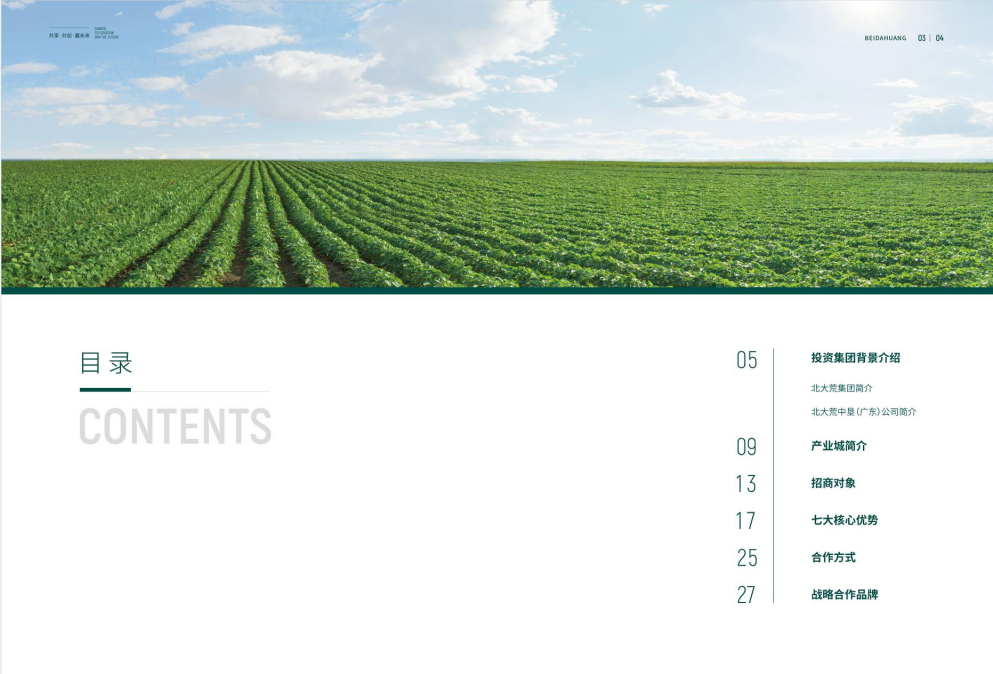 （大湾区）生态产业城项目