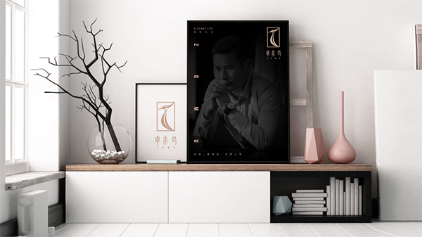 卓木鸟收纳品牌战略案例