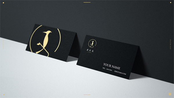 卓木鸟收纳品牌战略案例