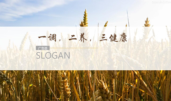 颐善德康养品牌定位案例